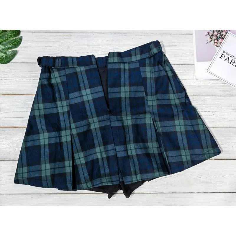 Broadband A-Line Pleated Zipper Plaid Plus Skirt